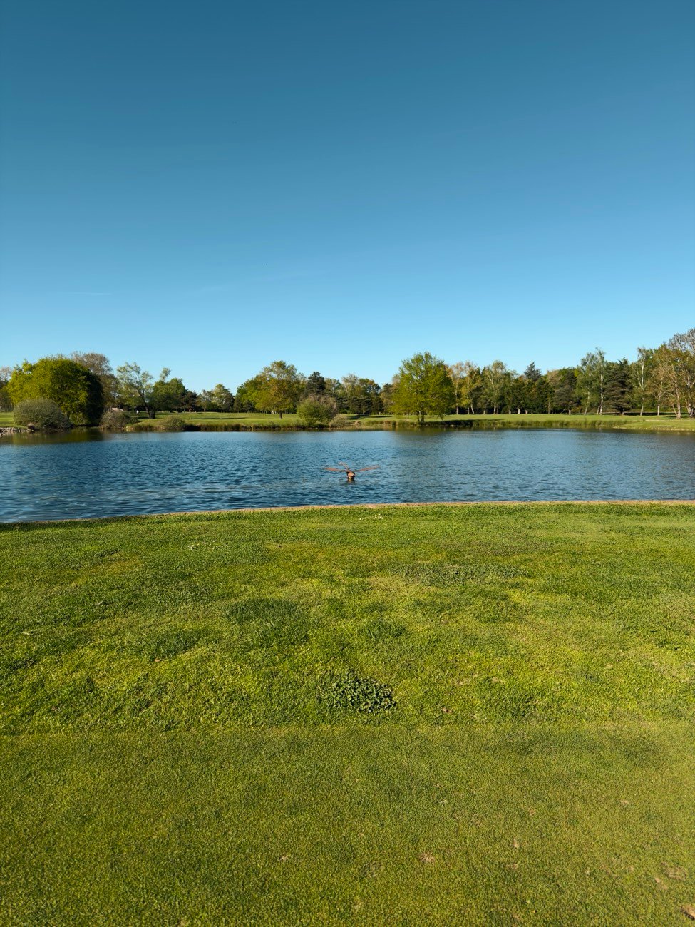 Golf du Clou — la vie du club