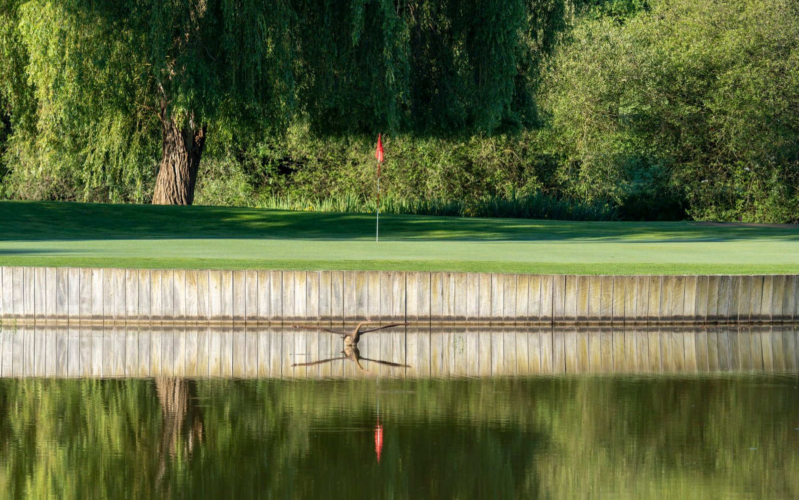 Le parcours du Golf du Clou au bord de l’étang